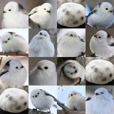 シマエナガちゃんに癒されるトピ Part2