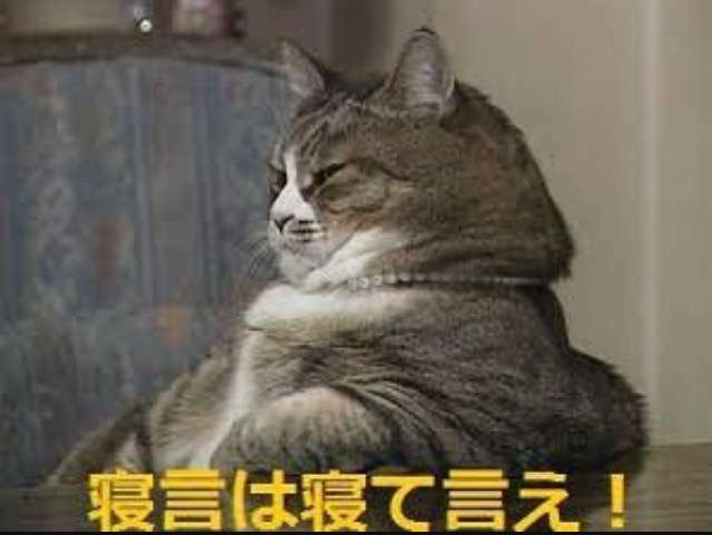 【ネタ】いろんな画像に「トトロいたもん」をつけるトピpart3