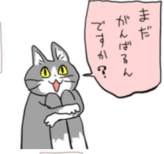 安藤優子の次は小倉、たけし、宮根…ついに始まる高額タレント切り