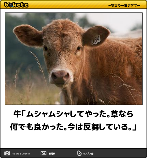 【2ちゃんねる】昔のインターネットを語ろう【テレホーダイ】