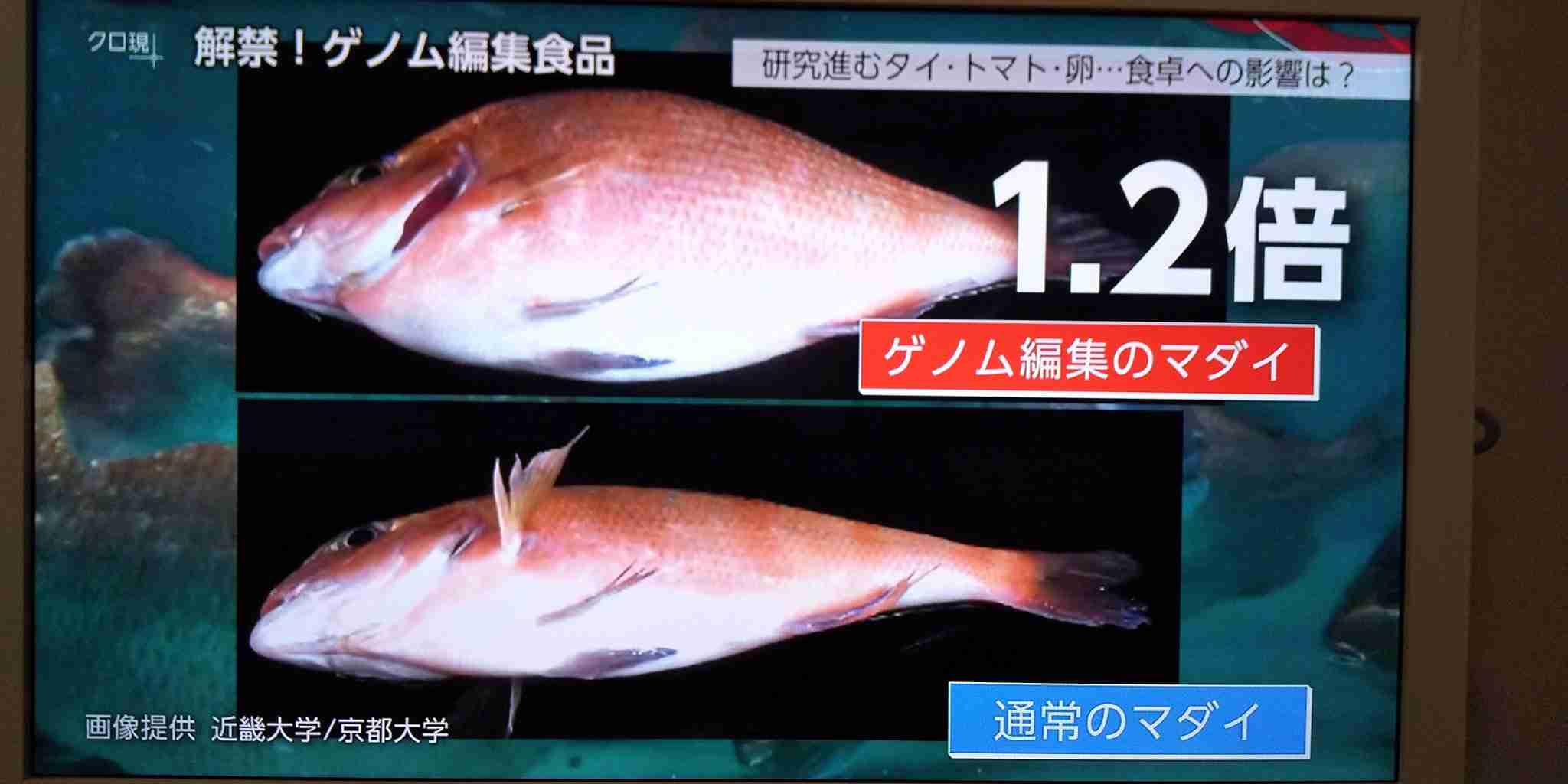 東京都で新たに270人程度感染　新型コロナ