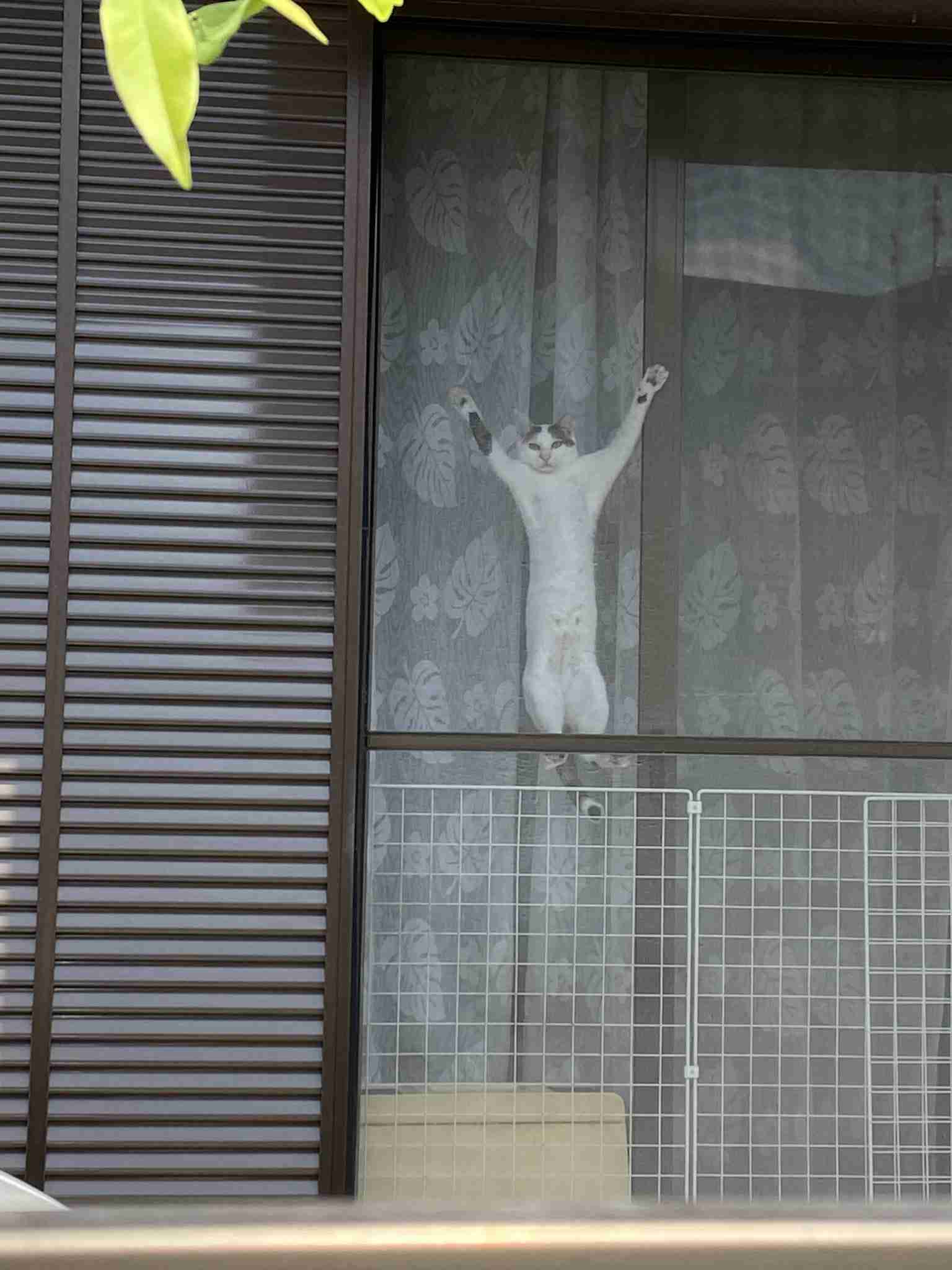 東京都で新たに270人程度感染　新型コロナ