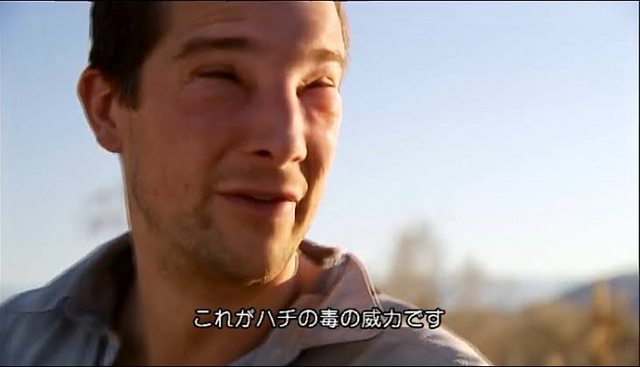 何度見てもじわじわくる画像part3