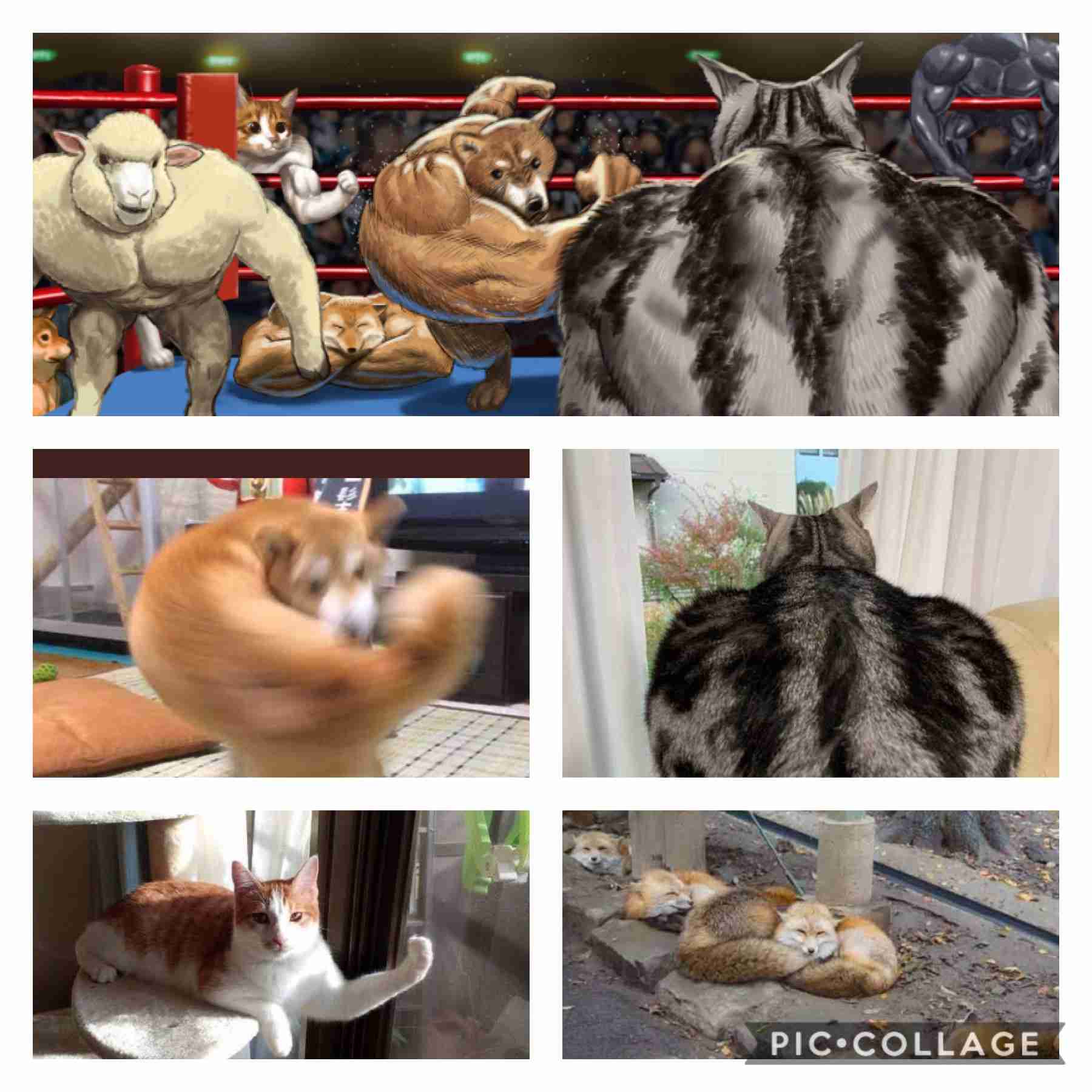 何度見てもじわじわくる画像part3