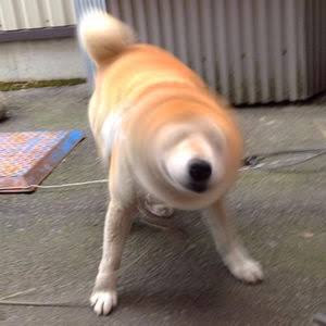 汗を拭くハンカチと手を拭くハンカチ