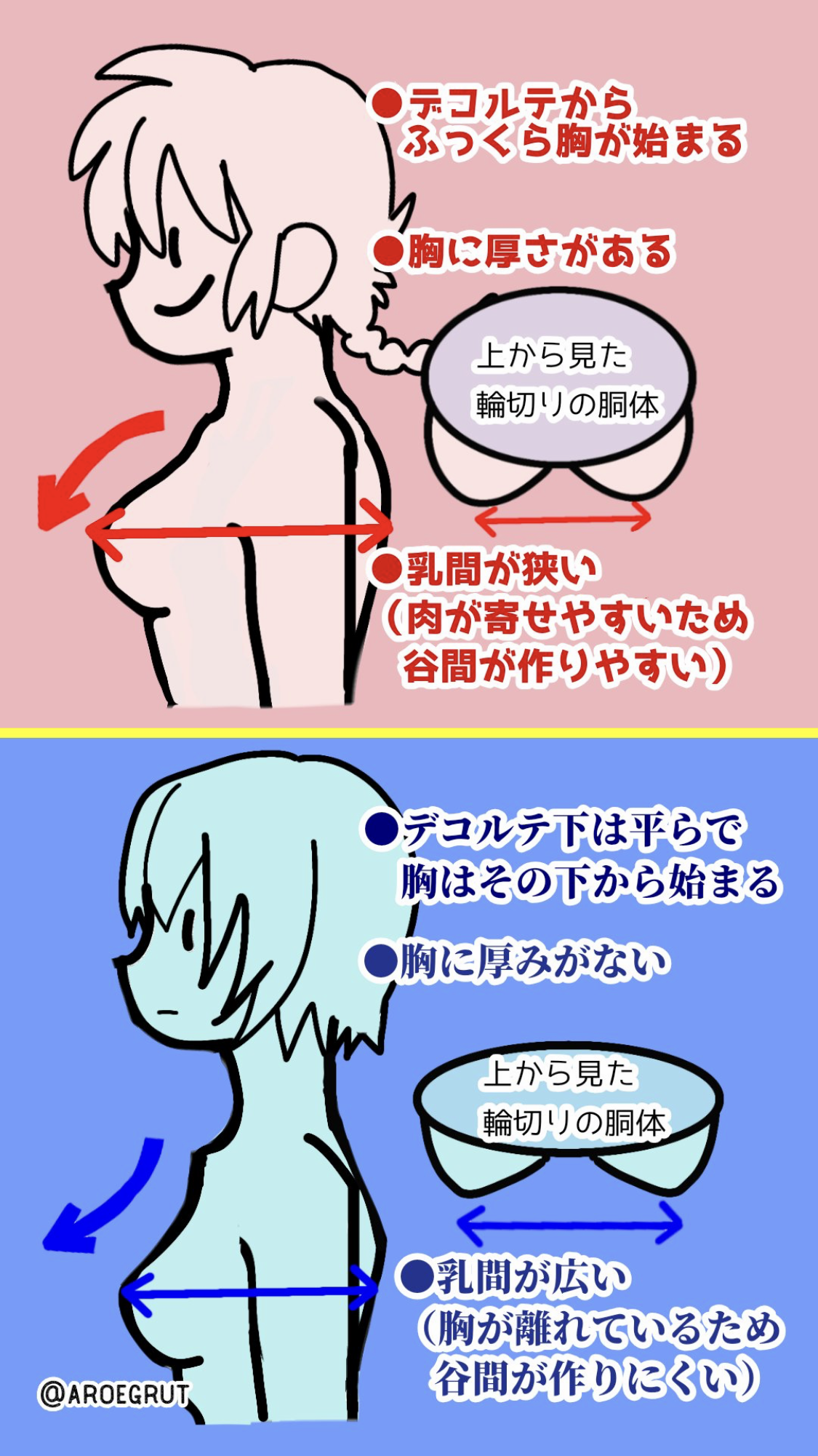 骨格診断、負のサラブレッド!