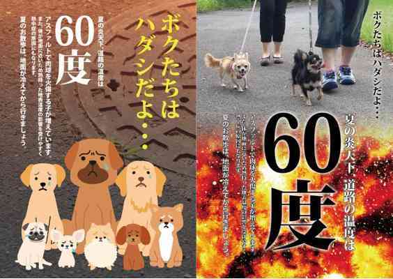 犬の散歩は1日2回 法律で義務付けへ ドイツ ガールズちゃんねる Girls Channel