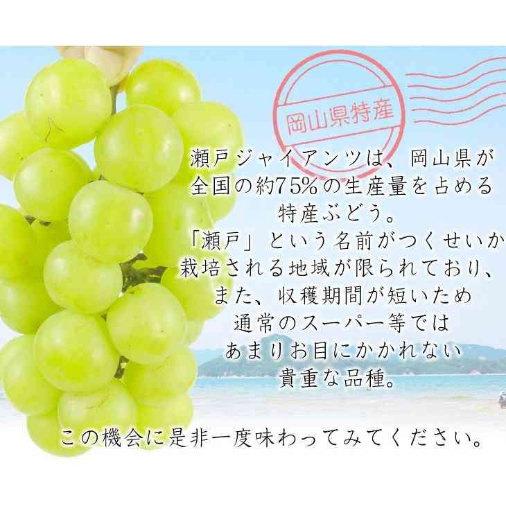 シャインマスカットが好きな人!