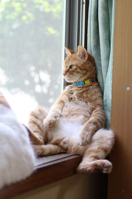 横顔が綺麗すぎる男性芸能人
