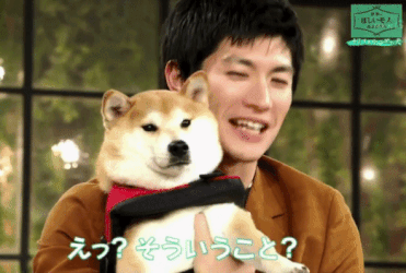 三浦春馬さん出演のオススメ作品