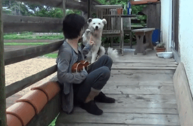 三浦春馬さん出演のオススメ作品