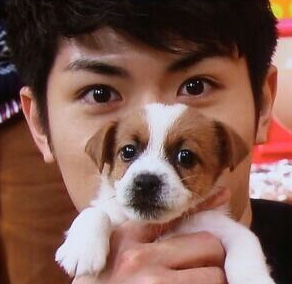 三浦春馬さん出演のオススメ作品