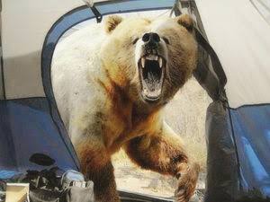 キャンプ場にクマ出没　テントの中で女性襲われけが