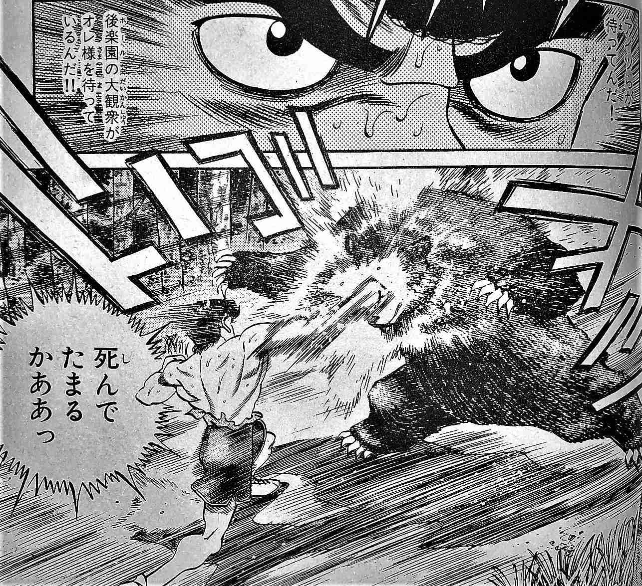 キャンプ場にクマ出没　テントの中で女性襲われけが