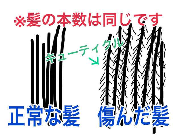 広がる髪の毛に悩んでます