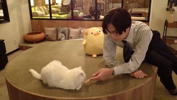 読者が選ぶ「20年春ドラマ版・胸キュン男子」ランキングを発表
