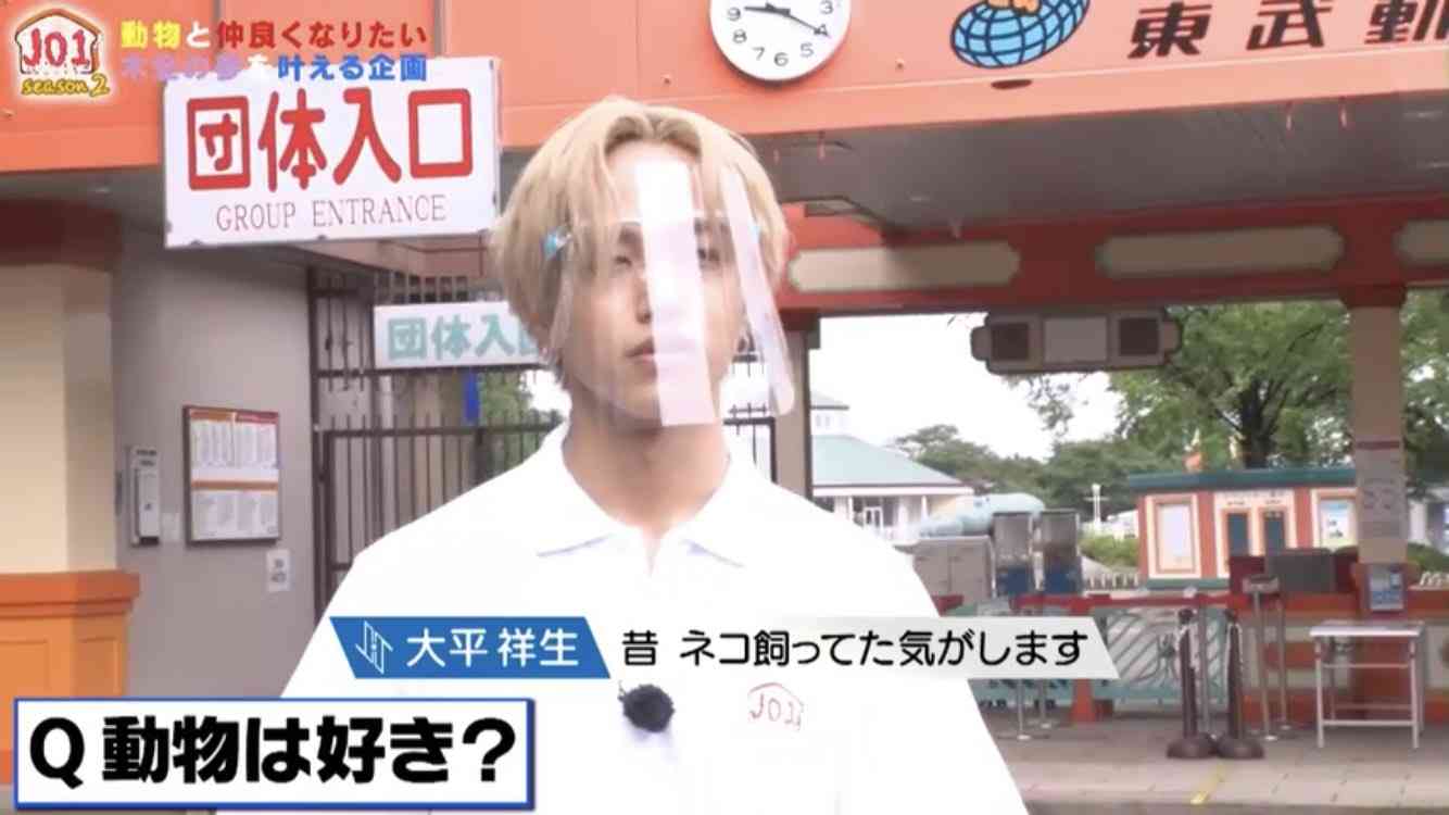 【動物に】○○顔が好き【例えると】