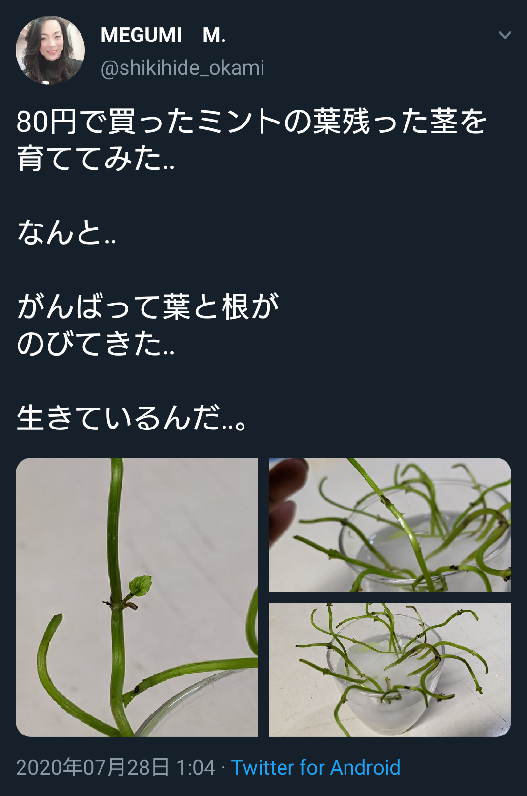 まずくて食えぬ古米…おかみさん強要が力士脱走一因…新米は私的に流用