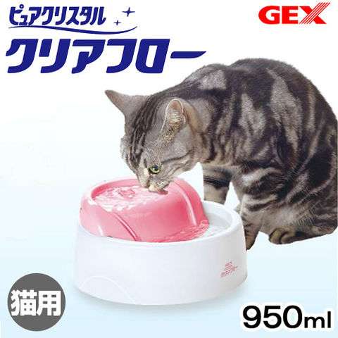 【ペット】ペット用品買いすぎ問題
