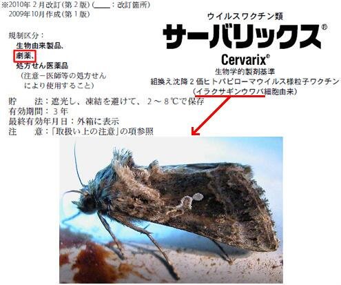 コロナワクチン健康被害、国が賠償肩代わり 政府、法整備検討 海外製薬要請