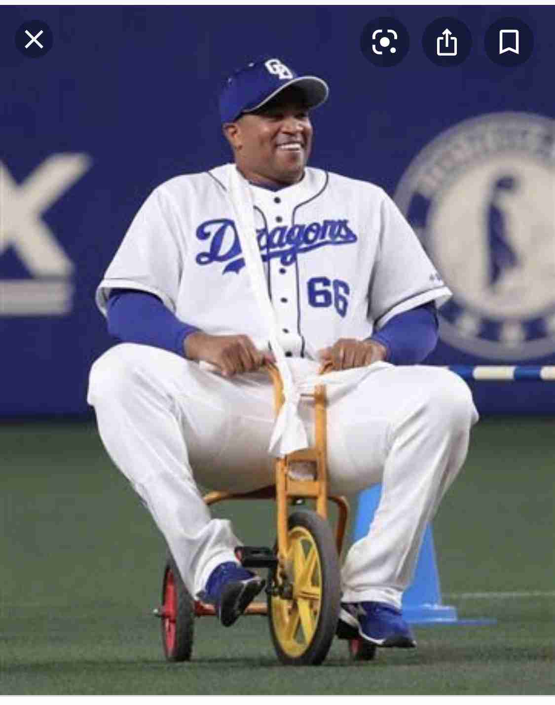いろんなプロ野球選手の画像が見たい❗