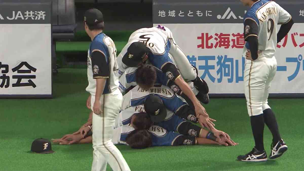 いろんなプロ野球選手の画像が見たい❗