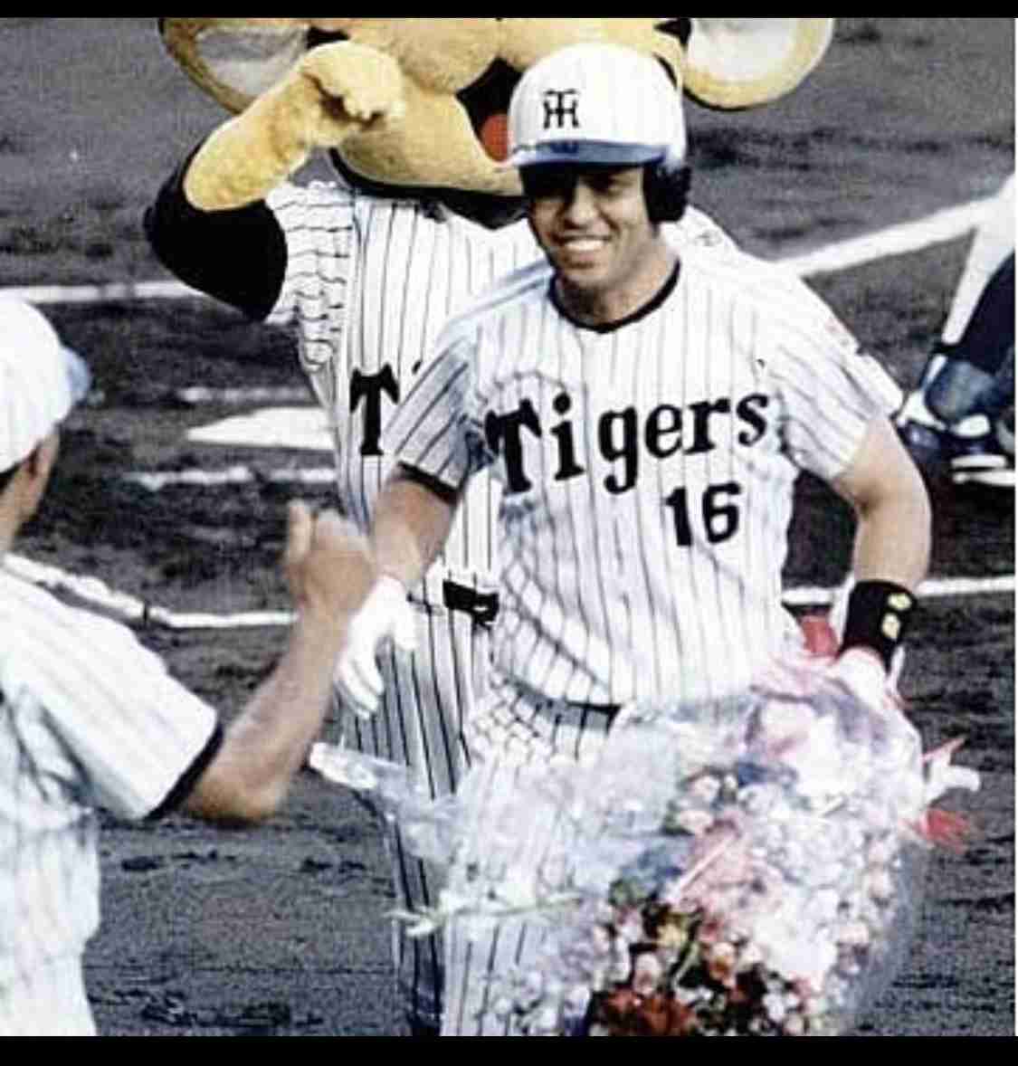 いろんなプロ野球選手の画像が見たい❗