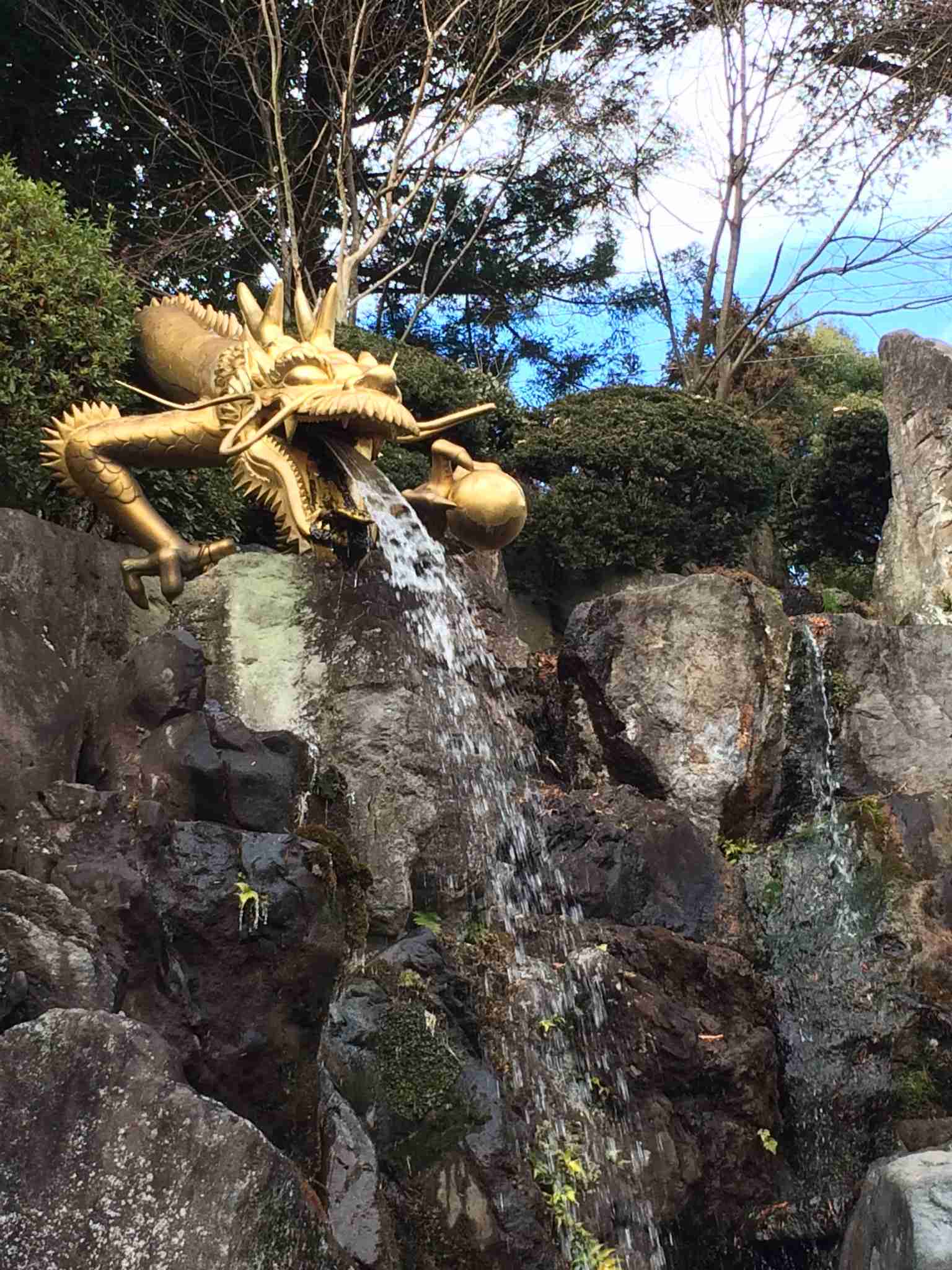 龍、龍神さまについて語ろう