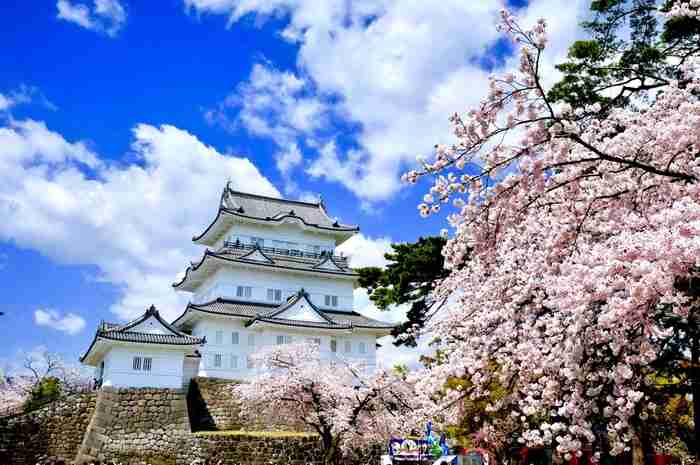 【コロナ】神奈川県の集いパート4