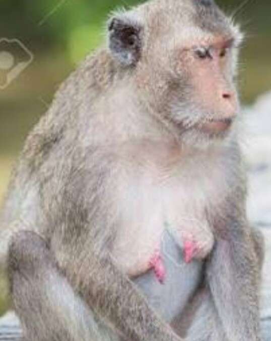 急に老けたなぁって思う芸能人part4