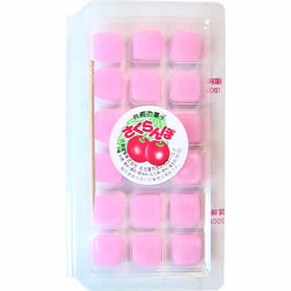 子どもの頃買って親から怒られた物