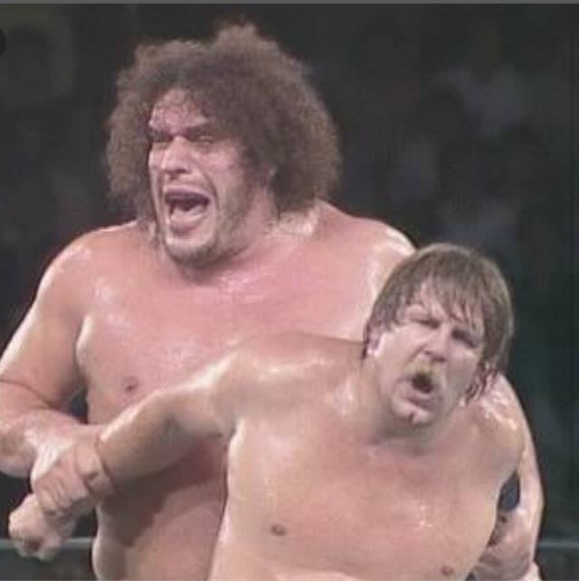 一番好きなプロレスラーpart2