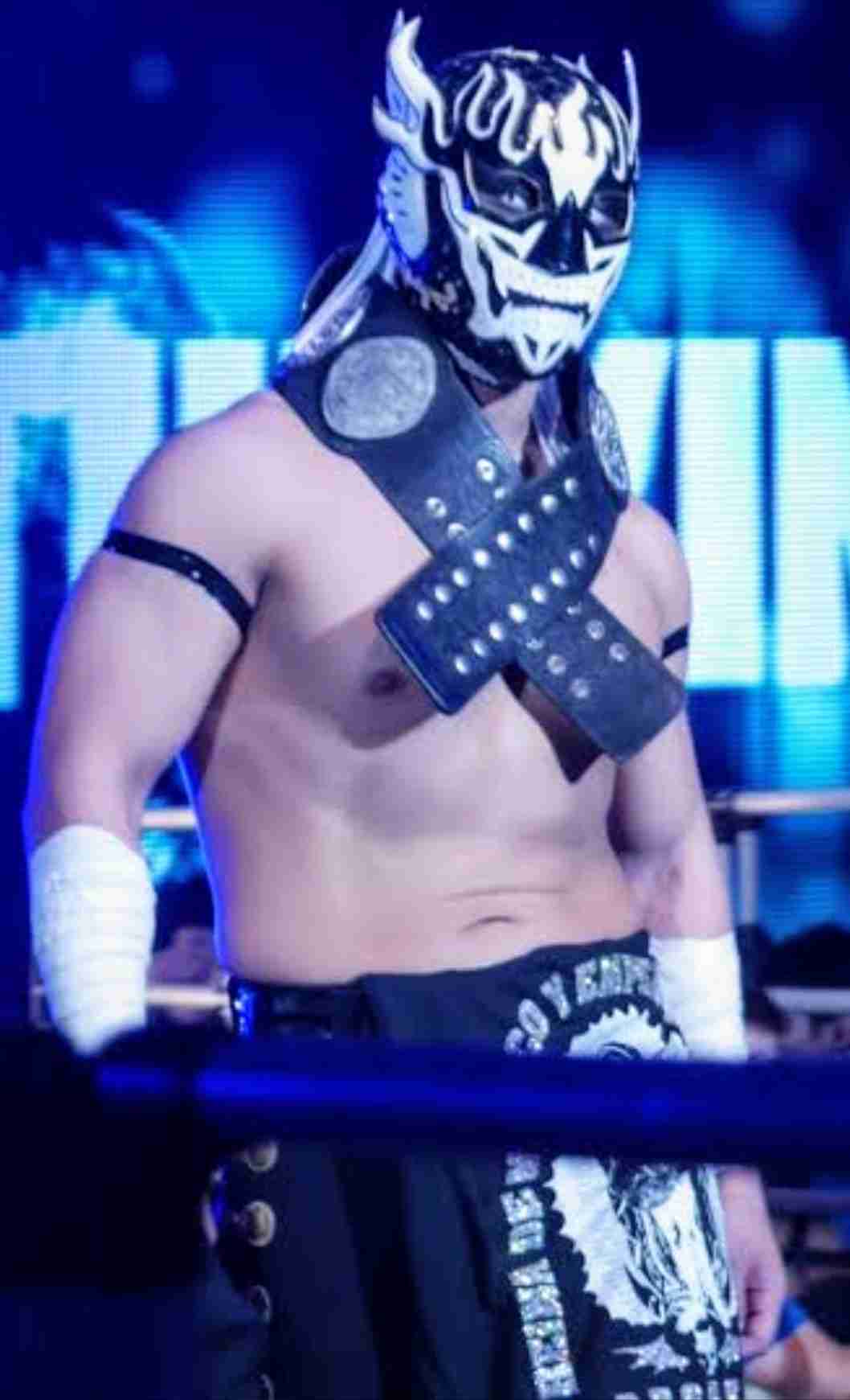 一番好きなプロレスラーpart2