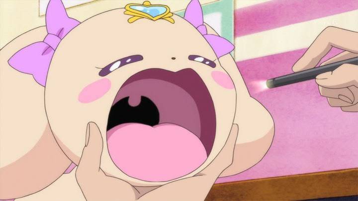 大人だけど女児向けアニメが好きな人