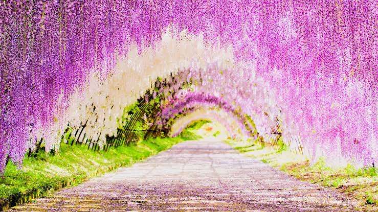 行って一番良かった観光地