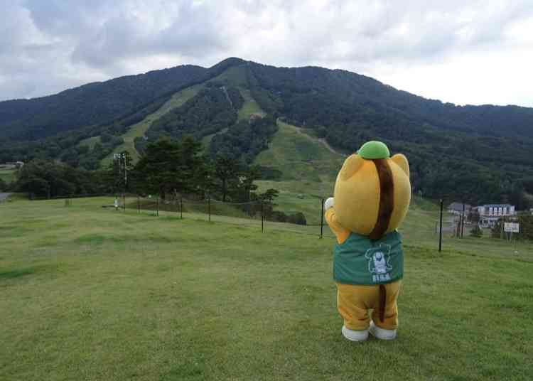 行って一番良かった観光地