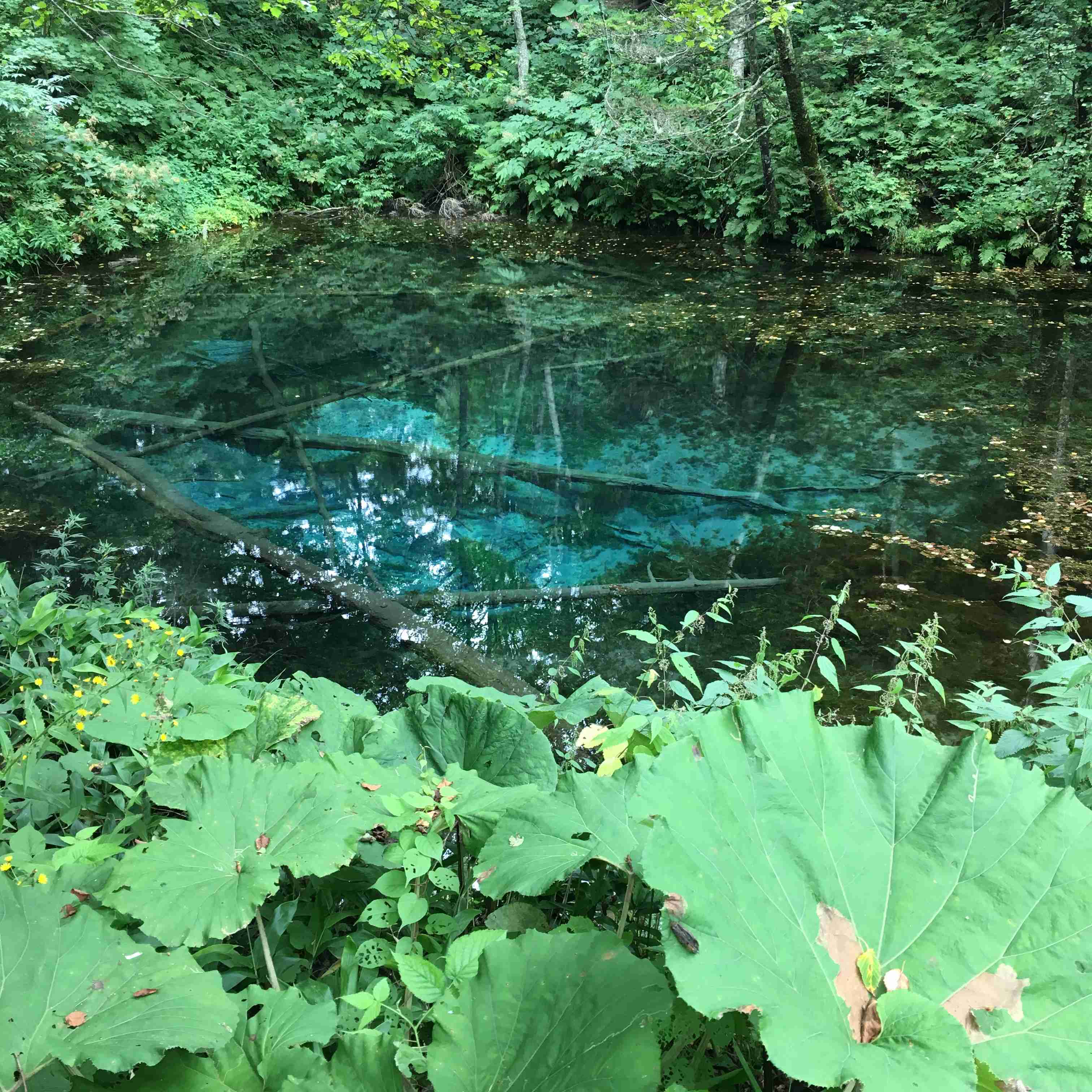 行って一番良かった観光地