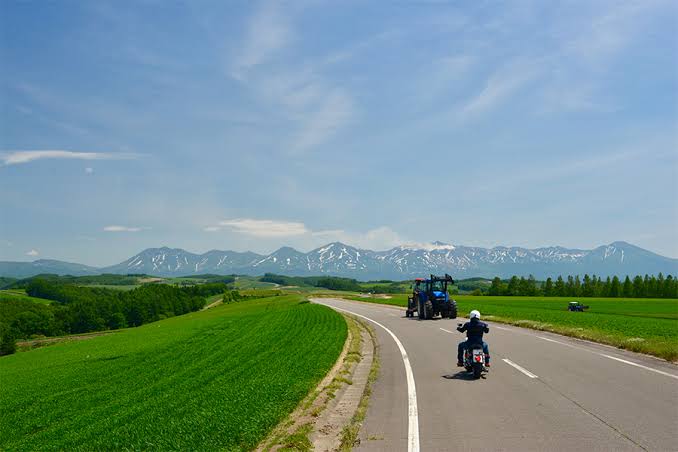 行って一番良かった観光地