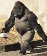 ミキ・昴生の父、番組放送後に浜田雅功に怒り 「何も笑えなかったです」