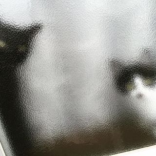 どんな幽霊なら怖くありませんか？