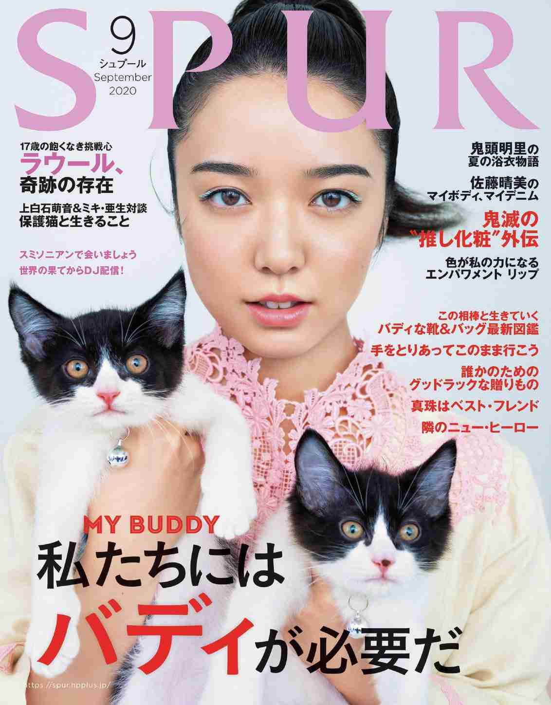白黒猫の写真(白黒ブチ、白、黒1色)がみたい