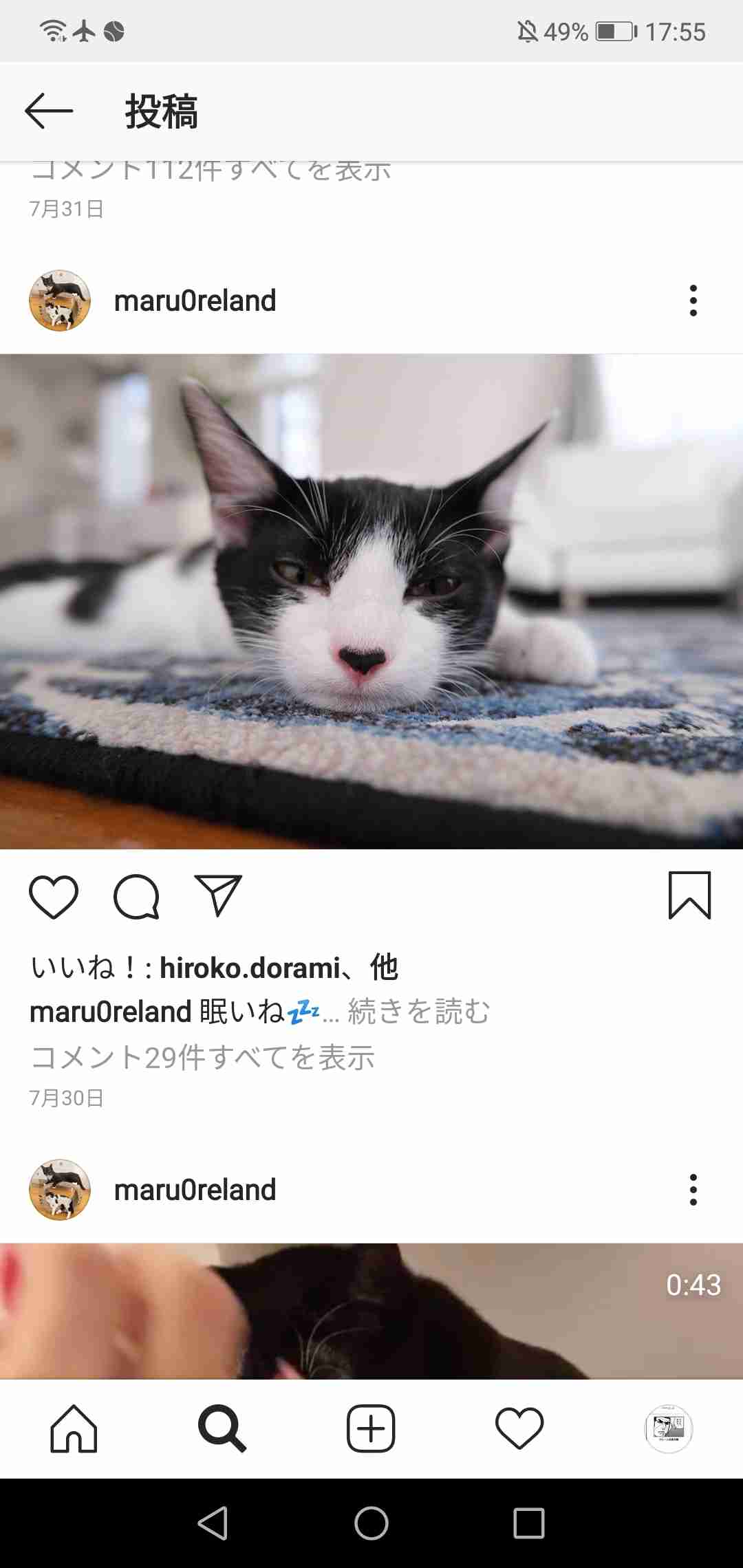 白黒猫の写真(白黒ブチ、白、黒1色)がみたい