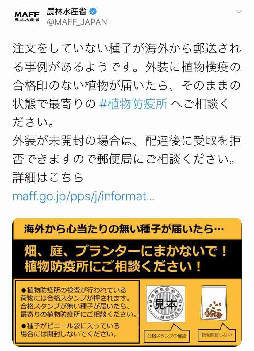 小川菜摘「怖っ」「直ぐに処分します」浜ちゃん宅に謎の