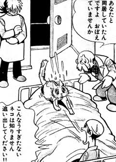 「ブラック・ジャック」を語りたい