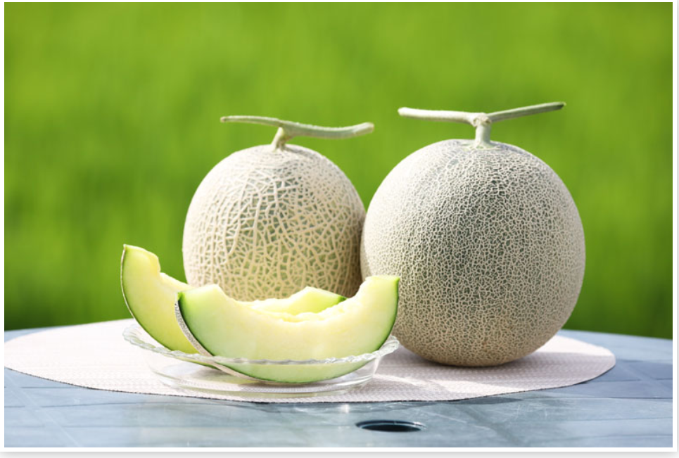 いま決めかねてること