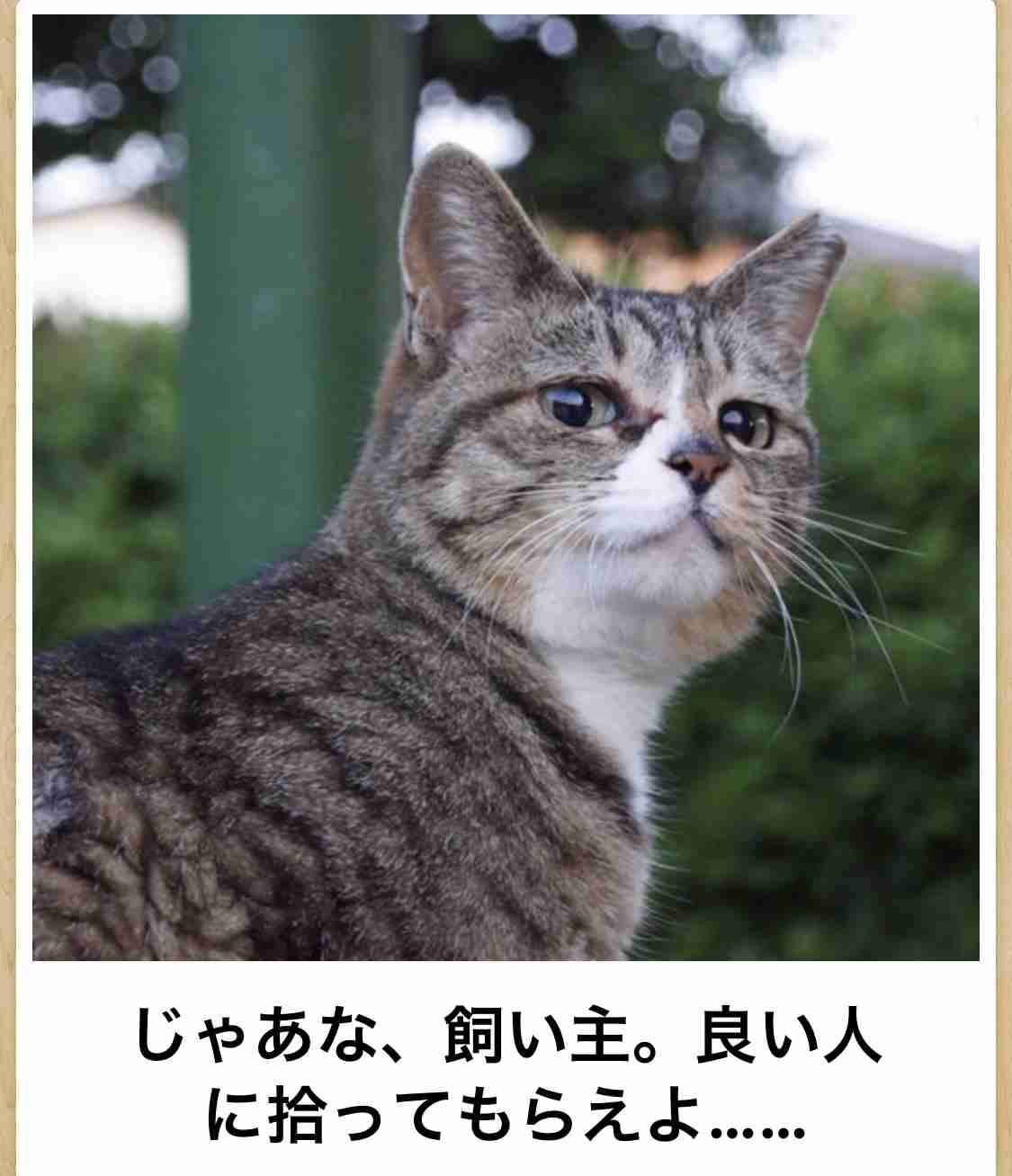 ペットからうつる…手放したい飼い主が激増!巣ごもりペットブームが一変!「犬がPCR検査で陽性」公表の功罪か!