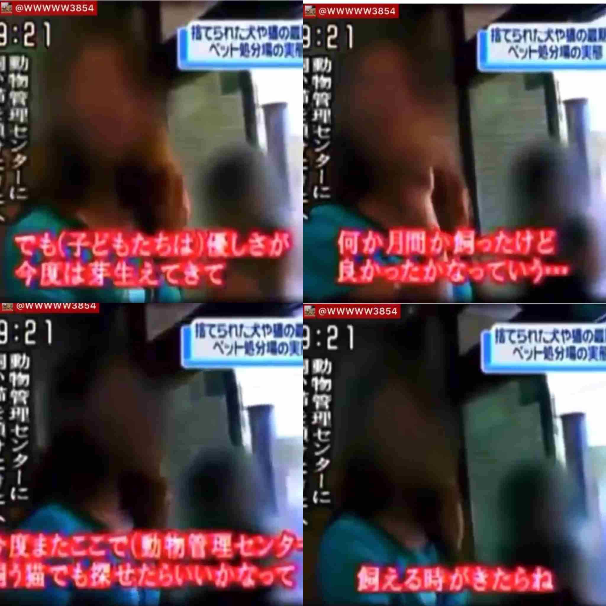 ペットからうつる…手放したい飼い主が激増!巣ごもりペットブームが一変!「犬がPCR検査で陽性」公表の功罪か!