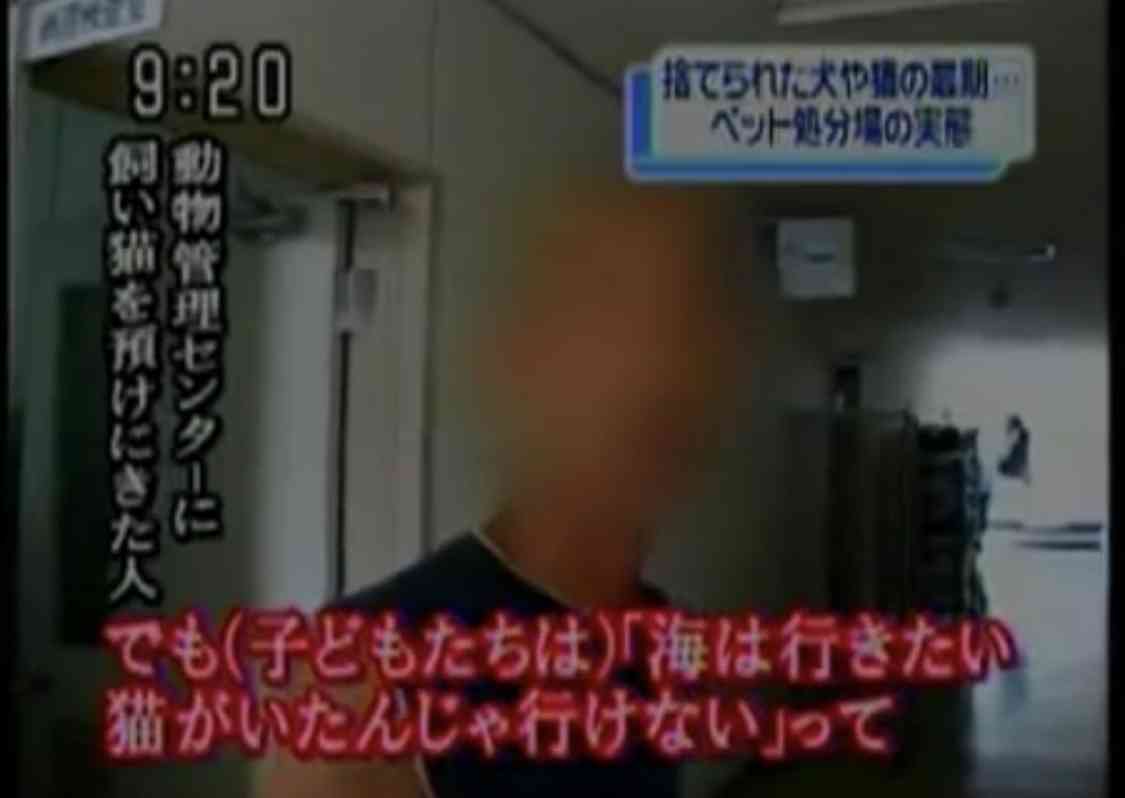 ペットからうつる…手放したい飼い主が激増!巣ごもりペットブームが一変!「犬がPCR検査で陽性」公表の功罪か!