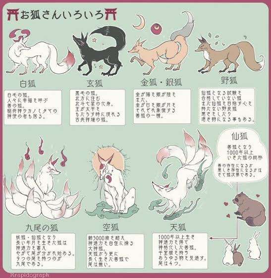 妖怪の正体って何だったと思いますか?