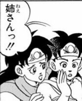 《アニメ、マンガ、ゲーム》似てない兄弟orそっくり兄弟選手権